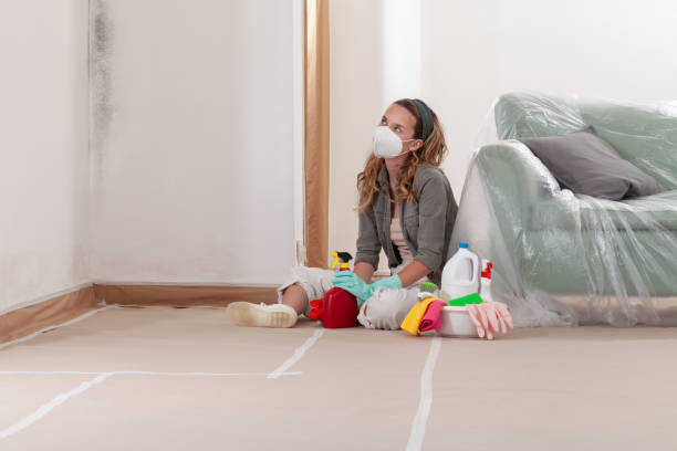 Reliable Black Mold Removal contractor in Reston, VA by WQB Mold Removal